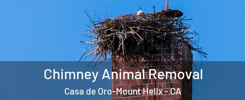  Chimney Animal Removal Casa de Oro-Mount Helix - CA