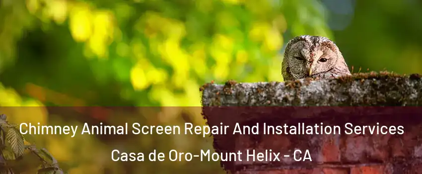  Chimney Animal Screen Repair And Installation Services Casa de Oro-Mount Helix - CA