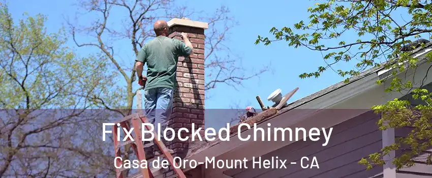 Fix Blocked Chimney Casa de Oro-Mount Helix - CA