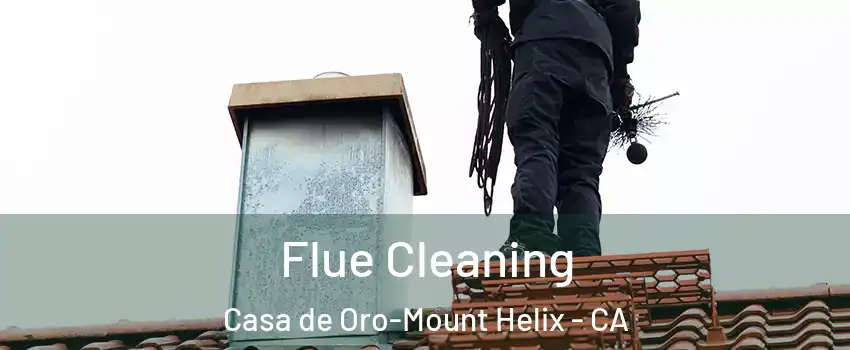  Flue Cleaning Casa de Oro-Mount Helix - CA