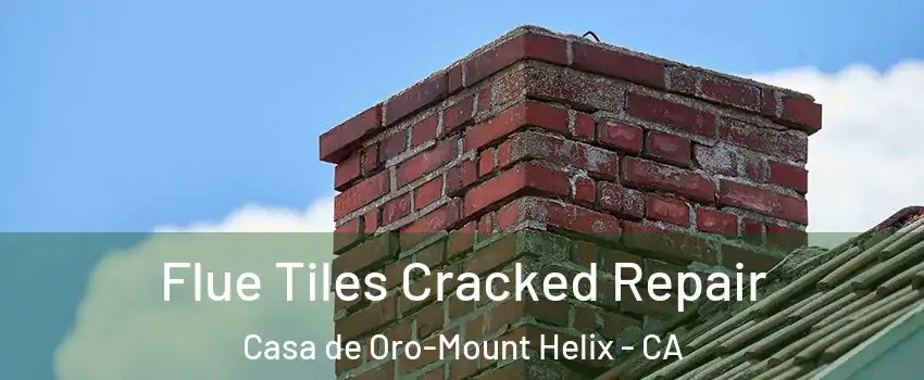  Flue Tiles Cracked Repair Casa de Oro-Mount Helix - CA