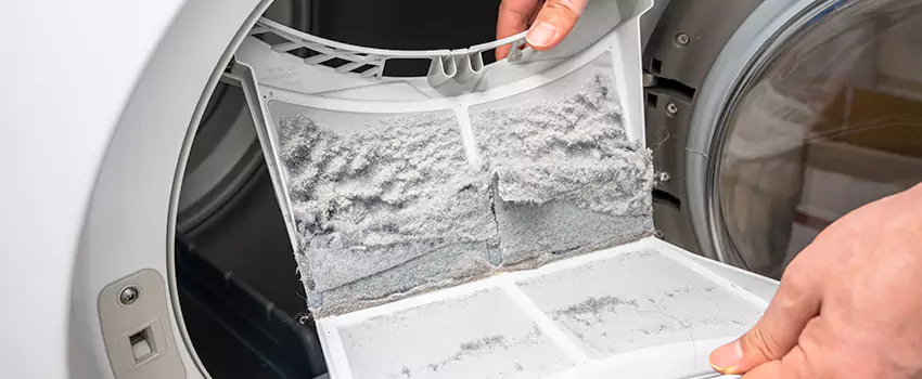 Best Dryer Lint Removal Company in Casa de Oro-Mount Helix, California