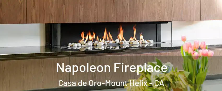  Napoleon Fireplace Casa de Oro-Mount Helix - CA